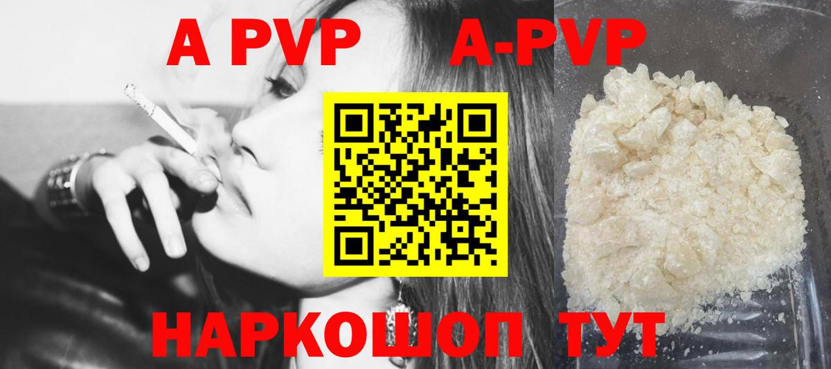 Alfa_PVP СК КРИС Гудермес