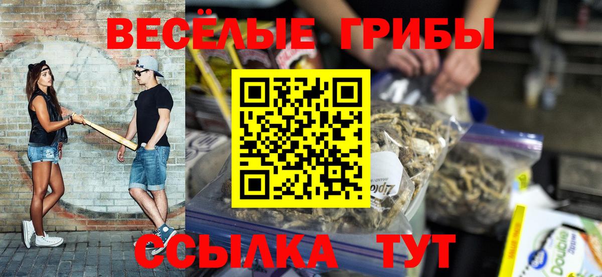 Псилоцибиновые грибы GOLDEN TEACHER Гудермес